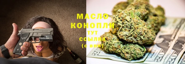 индика Орск