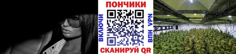 Канабис конопля  где продают   Белоусово 